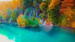 Самые умопомрачительные кадры природы из когда-либо снятых!...