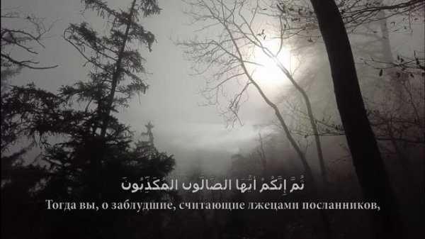 СУРА 56- «АЛЬ-ВАКИА» («ПАДАЮЩЕЕ»)  Билал Дарбали  [Bilal Darbali] بلال دربالي(720P_HD)