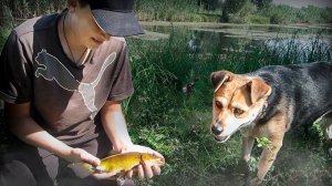 МЫ  НЕ ОЖИДАЛИ ЧТО ПРИПЛЫВУТ ОНИ... УТАСКИВАЮТ УДОЧКУ ПРЯМО В ВОДУ!