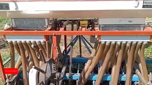 મૌસમ ઓરની વેચવાની છે, ધનજી ભાઈ: 9313538584 @DRKisanHelp_DilipRam