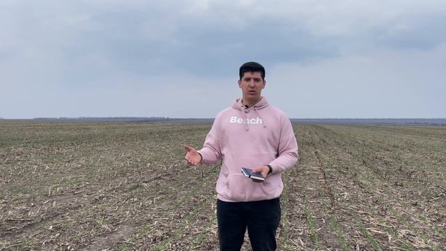 Катіонно-аніонний обмін рослин. Як при меншій кількості добрив отримати результат.