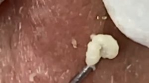 كل يوم هو حياة جديدة جيدة #565