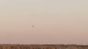 Облет очередного ФИЛИНА. Самолёт до 115 кг EL BUHO. Ультра легкая авиация