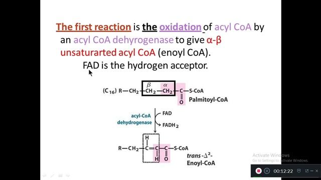 Beta Oxidation of Fatty Acids Biochemistry Lecture for Nursing Students смотреть онлайн