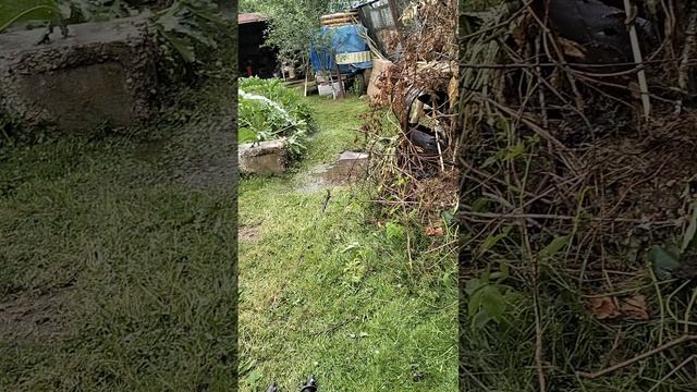 Прокачка абиссинской скважины