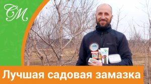 Лучшая садовая замазка для защиты ран после обрезки деревьев. #СадовыйЭксперт #ДенисСафронов