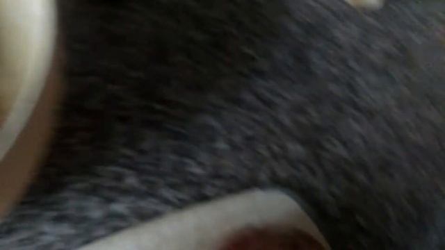 МОЯ ЧУДЕСНАЯ КАША/1ЧАСТЬ смотреть онлайн
