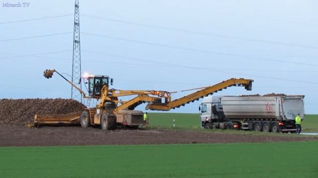 Rüben verladen mit Rübenmaschine KLEINE RL 350 V смотреть онлайн