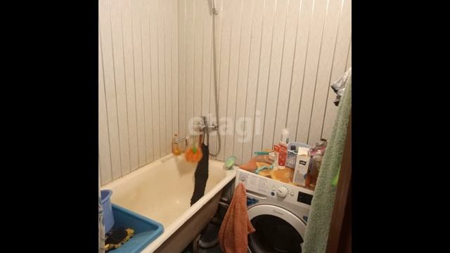 11403595 смотреть онлайн