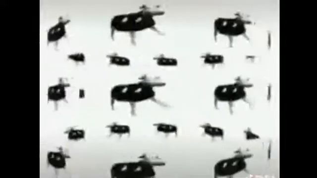 корова флексит под польскую музыку, уважение ей! смотреть онлайн