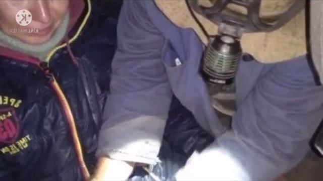 Крик о помощи! Люди слышали, как воет собака… А потом нашли Торпеду, застрявшую в товарном вагоне! смотреть онлайн