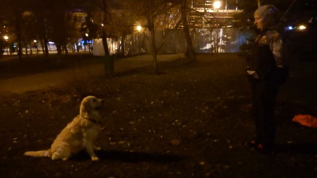 Гарди, комплекс по задним лапам смотреть онлайн