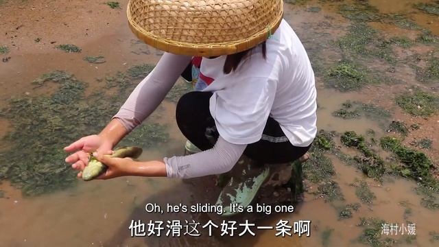 【ENG】妹子頂著大太陽趕海，發現一塊寶地，各種海鮮應有盡有#海村小媛 смотреть онлайн