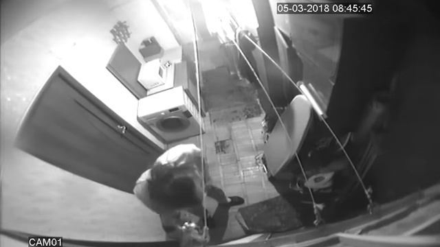 караулит маму,чтобы в комнату попасть,провоцирует собак смотреть онлайн