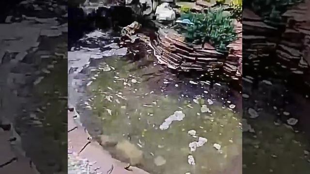 Водопады под заказ с нашего камня под ключ смотреть онлайн