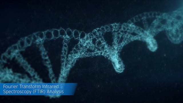 Our Quality Story - Natures Lab смотреть онлайн