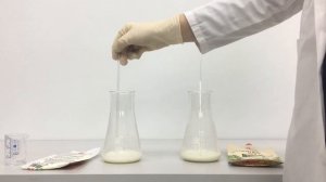 Качественная реакция на обнаружение крахмала в продуктах питания