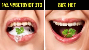 Факты о человеческом теле, которые доказывают, что вы созданы как чудо. Секреты нашей анатомии