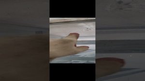 Подготовили рассадные теплицы.