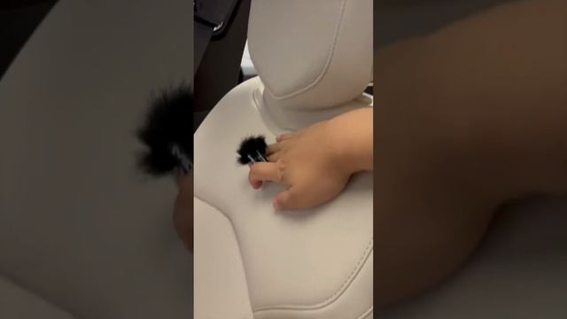 The New 2024 Cadillac CT6 Walkaround | Exterior And Interior