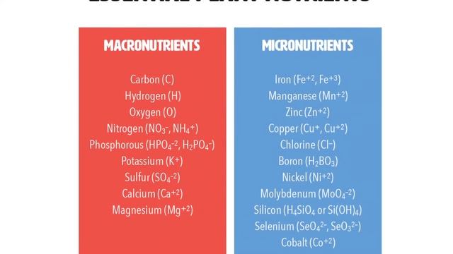 Plant Essential Elements: Calcium Cycle pt 1 | A REGENERATIVE SOIL Excerpt смотреть онлайн