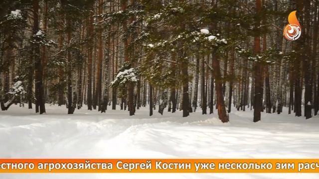 Новости 15 02 2022 смотреть онлайн
