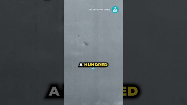 Real 150ft long Snake?