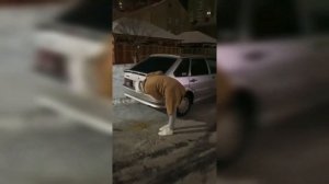 Девушка блюет