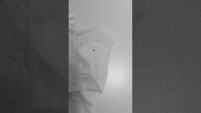 Уничтожение Клопов Лыткарино