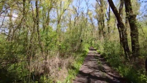 Покатушка через Диевский лес в Таромский карьер