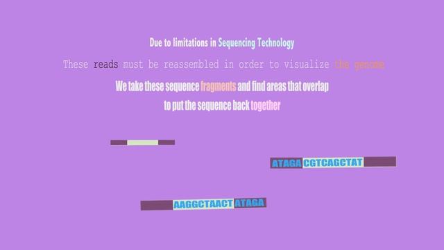 Genome Assembly смотреть онлайн