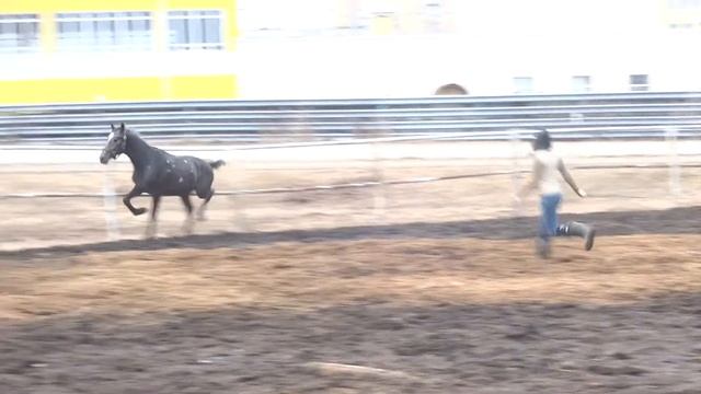 Европий видео смотреть онлайн