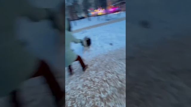 Хаски тянет. Первая прогулка с хаски. смотреть онлайн
