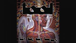 TOOL - Schism (Official Audio)