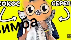 песня про котят но поет симба