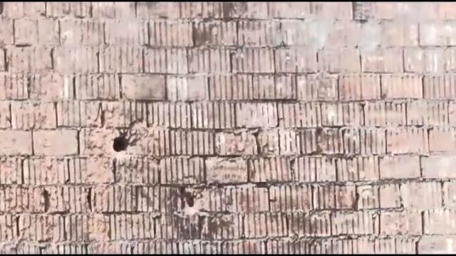 Собакам - собачья смерть! смотреть онлайн