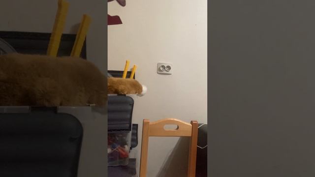 Варю пельмени смотреть онлайн