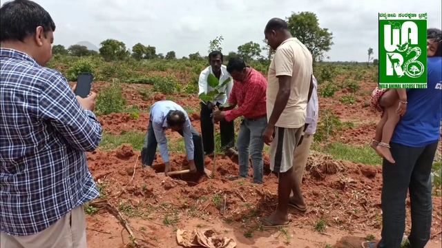 100 PLANTS WERE PLANTED IN THE FOREST WITH COOPERATION OF FOREST DEPARTMENT