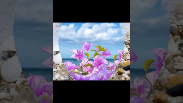 У меня есть ты смотреть онлайн