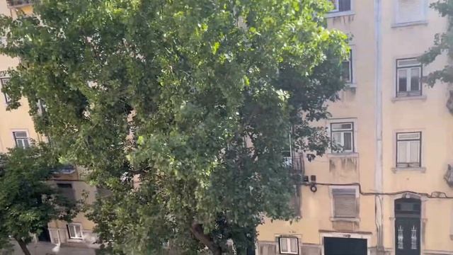 TRAVEL VLOG✈️: Краків ➡️ Лісабон, pastel de nata смотреть онлайн