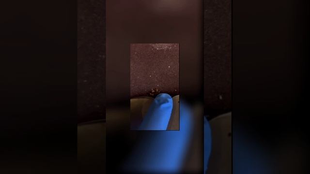 Уничтожение Клопов Красногорск