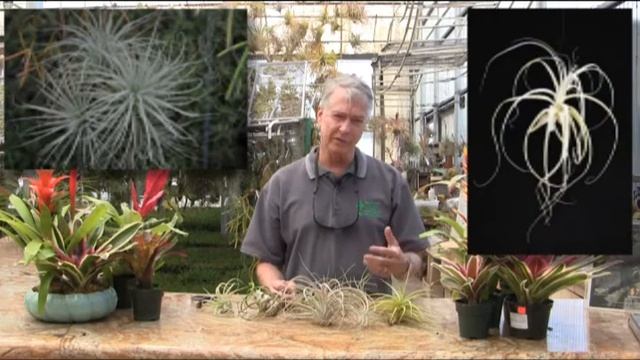 Rainforest Flora Nursery Plant Education 101 - Episode 2 смотреть онлайн