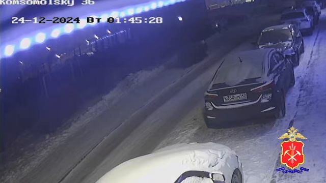 В Кемерове сотрудники полиции задержали горожанина, который спилил и похитил ель смотреть онлайн