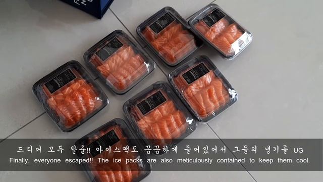 [자막ON] 🇲🇾🇰🇷말레이시아에서도 회 주문할 수 있다???? смотреть онлайн