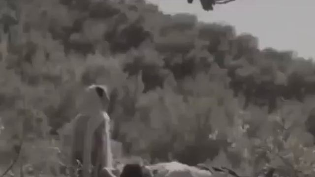 Ярмет & Яргунат 💔