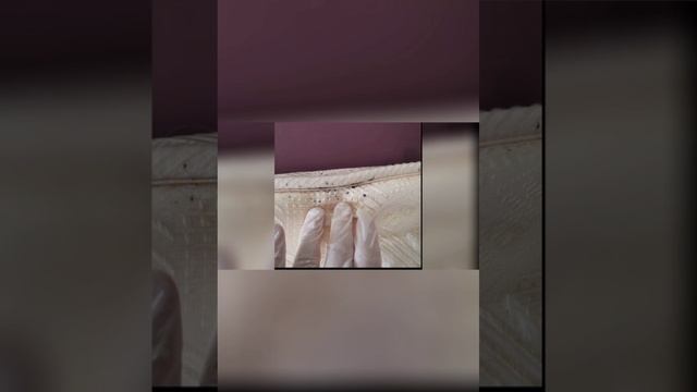 Уничтожение Клопов в Люберцах