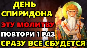 Самая Сильная Молитва Спиридону Тримифунтскому о помощи и достатке в праздник. Православие