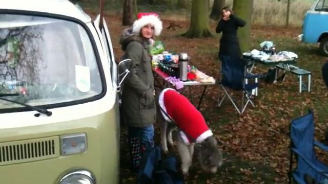 Tatton park late bay meet 2011.MOV смотреть онлайн