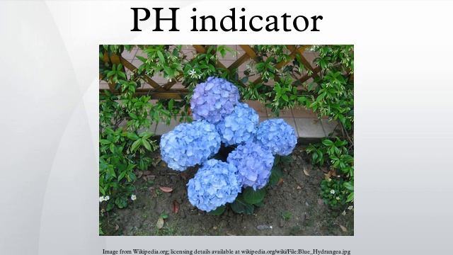 PH indicator смотреть онлайн