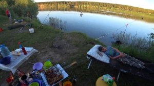 Рыбалка на судака летом . Ловля судака на донные снасти ,на живца .